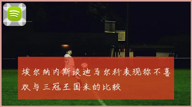 埃尔纳内斯谈迪马尔科表现称不喜欢与三冠王国米的比较